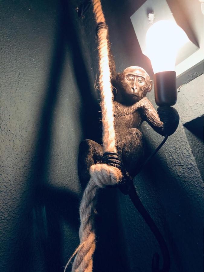 Le Jungle Charmant Appartement Avec Exterieur Nîmes Exterior foto
